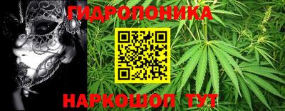 трава Обнинск