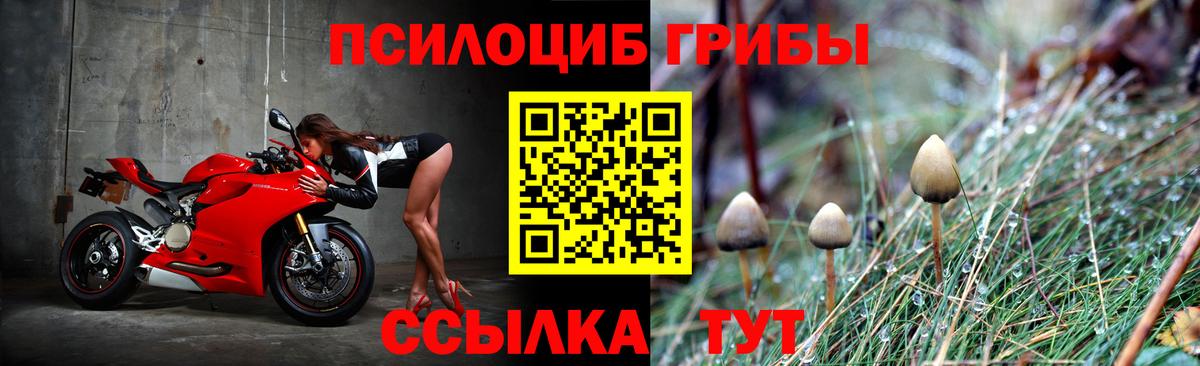Галлюциногенные грибы мицелий  Вход с VPN  Сертолово 